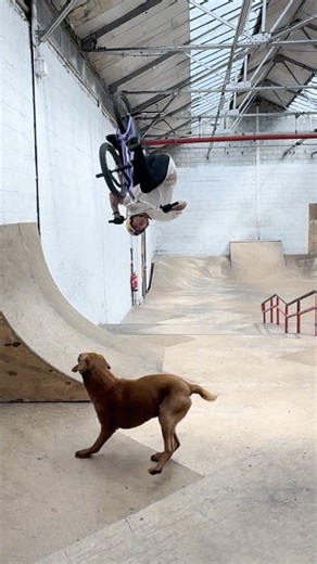 @invisiframe on Instagram: "Taking it indoors away from the crazy weather with @krisskyle 🥶 Dialling back up the heat at @unit23official. 🎥 @marcuscole_ #YouRideItWeProtectIt"