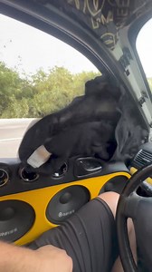 4.5K views · 30 reactions | He who has Ground Zero sound systems is like he who has treasures ❤️ | Al Omari Car Audio Sound SPL Bass Competition System | Facebook