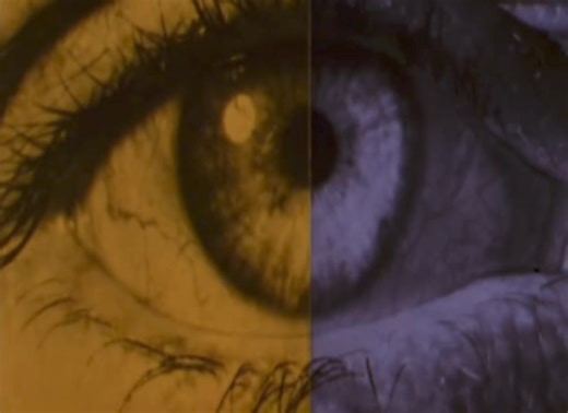 34K views · 1.3K reactions | On August 24, 1966 “Fantastic Voyage”...