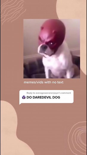 Daredevil Dog Meme Compilation | Funny Cropped Videos
