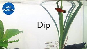 Watch API FRESHWATER MASTER TEST KIT 800-Test Freshwater Aquarium Water Master Test Kit on Amazon Live