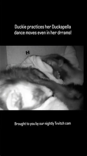 Duckie Dreams Of Dancing