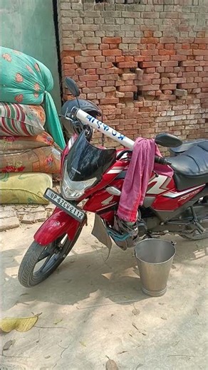 भैंस का कृत्रिम गर्भाधान #baif #animals