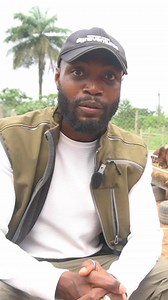 146K views · 2K reactions | These are the goats we brought to West Africa! We have Boer Goats, Savannah Goats who are all white, and Savannah Goats. Contact us on +233241176677#boergoats #goatsinwestafrica #savannahgoats #livestock #farming #animallovers #farminginafrica #agriculture #livestockfarmer #fyp | Farming In Africa | Facebook