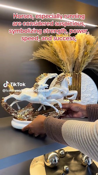 Luxury and style home decor on TikTok