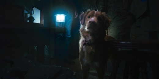 Good Boy Director on the Film's Extensive Production Timeline