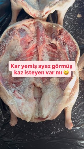 Nurullah Özkaya on Instagram: "Kışın ortasındayız kesimler devam ediyor.Eylül ekimde kesilen kazların tadına benzemez bu kazlar.Kazlarımızın asıl lezzeti kar yemiş ayaz görmüş olmalarıdır.Sipariş hatı 0543-361-54-52 🤗#kazeti #karskazı #köykazı #kazetinasılpişirilir #kars #ardahan"