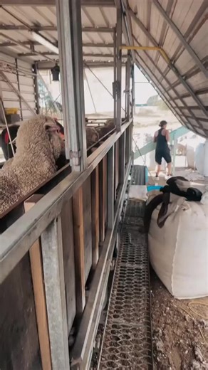 Father and Son Duo: Mastering Crutching Techniques