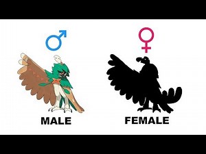 Rowlet Dartrix Decidueye Gender Difference Fanart