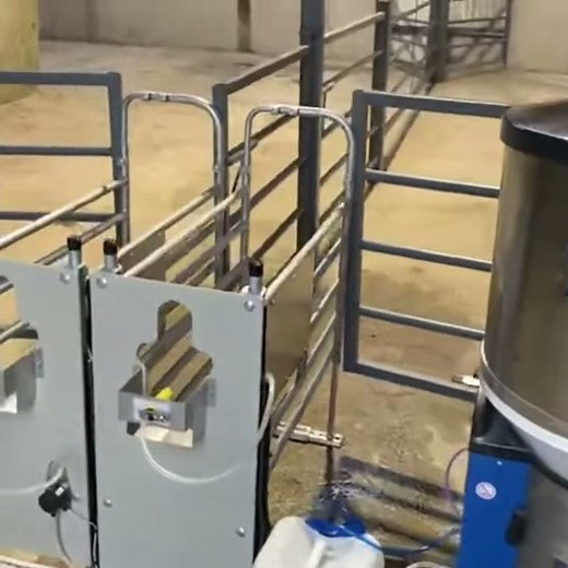DeLaval CF1000s 2 station Calf Feeder