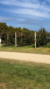 1.1K views · 29 reactions | It’s time to get to the farm  Wagon Rides  Corn Maze 李 Giant Jumping Pillow  Orchard Express Train  Forest Trails and so much more Fall Festival runs each Saturday and Sunday 10-5pm. Find out more at brantwoodfarms.com | Brantwood Farms | Facebook