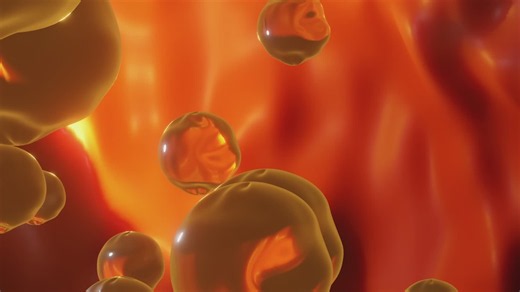 Cholesterol myths debunked