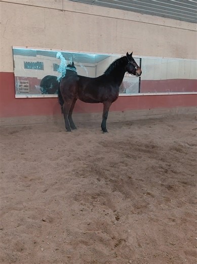 Just a little bouncy