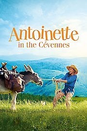 My Donkey, My Lover & I