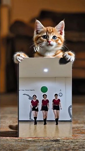 추억의 '테네시왈츠 서프라이즈' 라인댄스, Nostalgic 'Tennessee Waltz Surprise ' Linedance