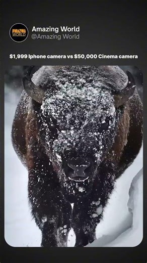 📱 iPhone vs 🎥 Cinema Camera