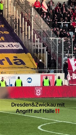Dresden and Zwickau Clash in Halle Match