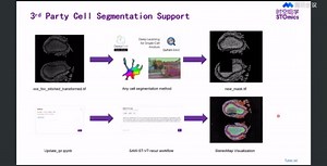 华大时空云平台应用分享 | 细胞分割工具选择与应用