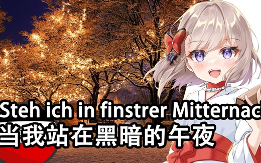【Steh ich in finstrer Mitternacht】当我站在黑暗的午夜——中德字幕-中华田园人ausUngarn-中华田园人ausUngarn-哔哩哔哩视频
