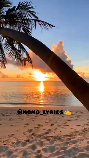 momo_lyrics sur TikTok