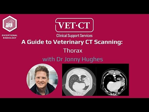 A Guide to Veterinary CT Scanning - Thorax