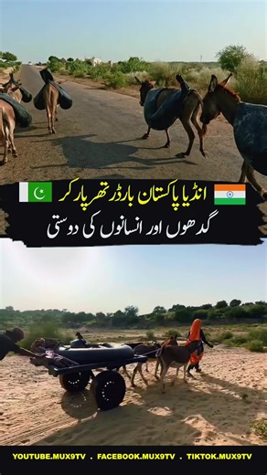 Sindh #sindh #pakistan #tharparkar