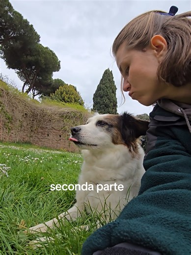 La gran parte di voi ha notato i tre più importanti: laccata di naso/linguaccia, voltarsi dall'altra parte, fare finta di nulla Quelli che si notano con un po' di allenamento sono: Whale eye (quando si vede molto la sclera dell'occhio), socchiudere gli occhi Kelly ha fatto una gran combinazione di tutto per dirmi