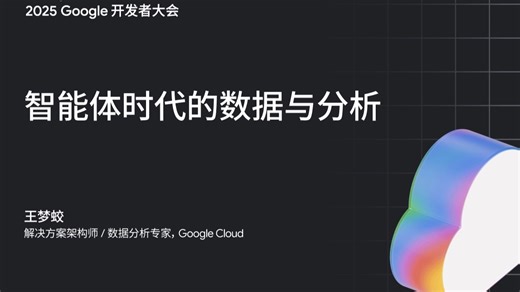 智能体时代的数据与分析