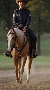 2.7K views · 22 reactions | Master ranch riding with AQHA World Champion, Bud Lyon in his new masterclass as he breaks down everything you need to know about ranch riding. The 홍홖홣환홝 홍홞홙홞홣활 101 홈홖홨황홚홧환홡홖홨홨 is now 홖홫홖홞홡홖홗홡홚 on Ride TV! Watch here ➡️ https://bit.ly/RanchRiding101Masterclass | Ride TV | Facebook