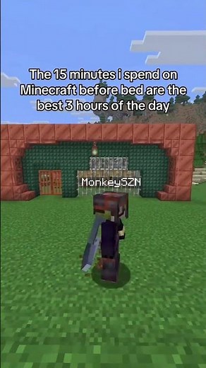 You HAVE to know this feeling if you play Minecraft.