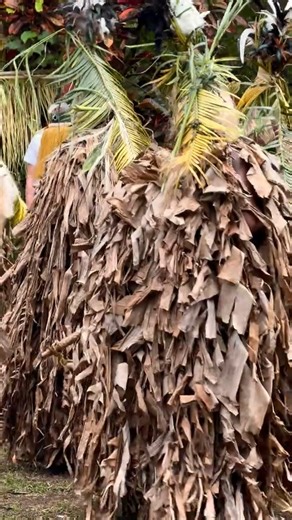 The Rom dance of Ambrym, Vanuatu, is more than tradition - it’s sacred 🇻🇺 Warriors in banana-leaf cloaks and painted masks move to the beat of tam-tams, channeling stories and spirits passed down through generations 🕺 Some customs aren’t meant to be explained but only respected 😍 🎥 earthxplorer #100pasifika #Vanuatu #vanuatuislands #vanuatuan #reelsviralシ #reelsfypシ #reelsfb #reelsfacebook #reelschallenge | 100% Pasifika