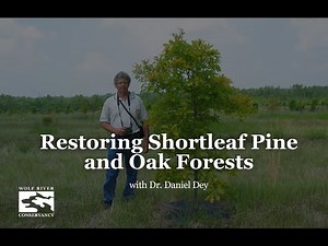 Restoring Shortleaf Pine and Oak Forests, with Dr. Daniel Dey