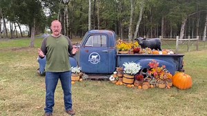 14 shares |  Get ready to fall into fun at our Fall Freedom...