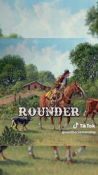 The Boerperd Horse: South Africa's Loyal Companion