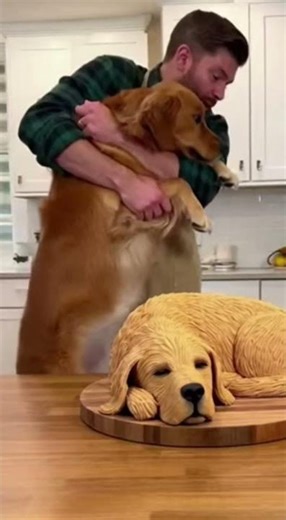 Dog Protects His Twin Cake! 😭 #funny #catvideos #cat #catfunny #funnycatvideos #funnydogs #funnycat