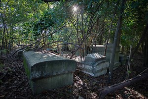 Plantation Cemetery