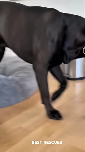 1M views · 16K reactions | Taking out the trash... literally! ️...