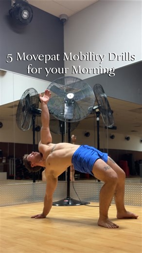 Brad Terrell on Instagram: "5 Movepat Mobility Drills to Energize Your Morning 🔥 Try these intermediate Movepat movement patterns to get the body grooving, smooth out the sticky spots, open fascial lines, improve range of motion, and build upperbody/push strength all while getting a good sweat. Make sure to give them a go and tag a friend who would love to try these patterns!🙌 #yoga #mobility #movepat"