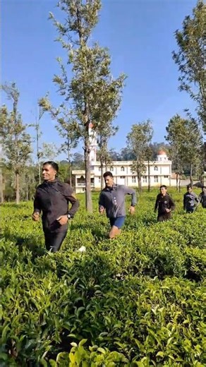 ooty's tea field enjoying ooty view #motivation #trybwearathletics #trackandfield #trackandfield