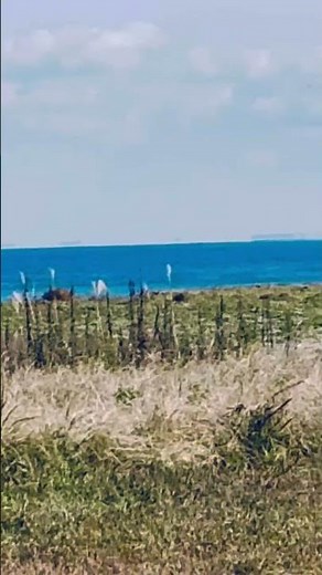 富山県の風景です、富山市の岩瀬古志町から黒部市生地方面です、2025年11月15日AM撮影