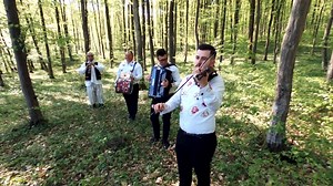 9.9K views · 167 reactions | În codru când am intrat-#Călin_Borşe la...