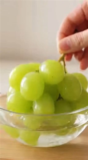 Grapes to Raisins - 45 Days Time lapse#gardening #timelapse #naturelover #grape