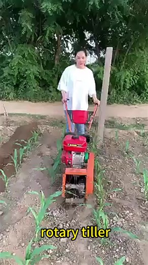 Farm Tools Hand Tiller Cultivator/ Powerful 4 Stroke Gasoline Petrol Cultivator/ Hand Push Agricultural Cultivator Tiller