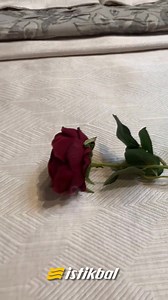 Avec ISTIKBAL, 2 chevets commode avec miroir à 19 990 DH au lieu de 24 990 DH, avec un matelas offert pour encore plus de confort. https://istikbal.co.ma/produit/pack-elite-sommier-2-chevets-commode-avec-miroir-matelas-offert/ #elite #Luxe #Confort #PromoMeubles #interiordesign #Design #homesweethome #maroc #istikbal #istikbalmaroc | Istikbal Maroc