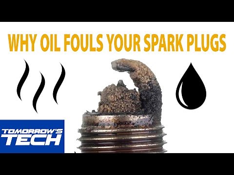 Why Oil Fouls Your Spark Plugs