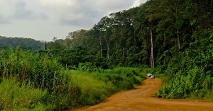 La Norvège va financer le Gabon dans ses actions pour la lutte contre la déforestation