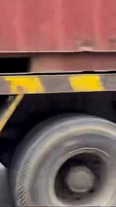 1.4M views · 118K reactions | It was a lucky day for Whoofy because our flood rescues took us this way to Peliyagoda. She is now with us in hospital and will need a home soon. Please let me know if you can adopt her. She survived the floods, the busy roads until I drove by, so she is meant to have a good home and a family to love her forever. Location- flood rescue, colombo, Sri Lanka | Otara Gunewardene | Facebook