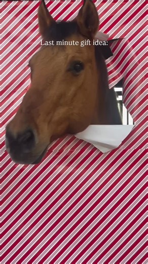 Sport Horse Sales | Femme Cheval on Instagram: "Femme Cheval Marketplace is here to help with all your last minute holiday shopping 🤭🐴🎁 #femmecheval #giftguide #equestriangifts #holiday"