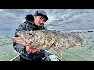 Walleye Fishing Lake Erie | Trolling JIGS and Crankbaits Simutaneously?