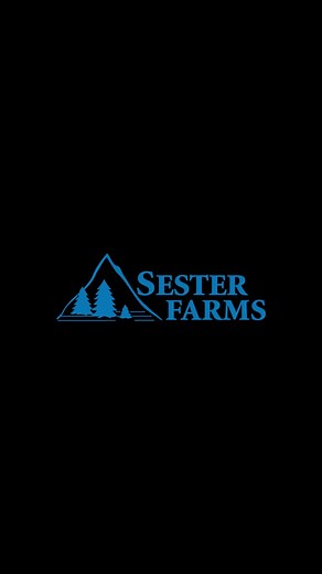 Drip System to Prevent Fungus on Leaves of #15 Chanticleer Pear | Sester Farms Inc. | Facebook